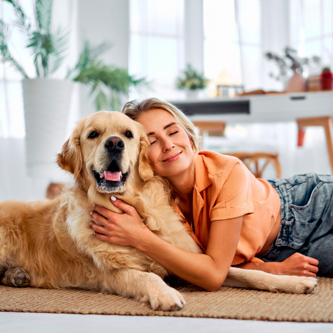 How to Create a Pet-Friendly Wellness Home for Happy and Healthy Pets